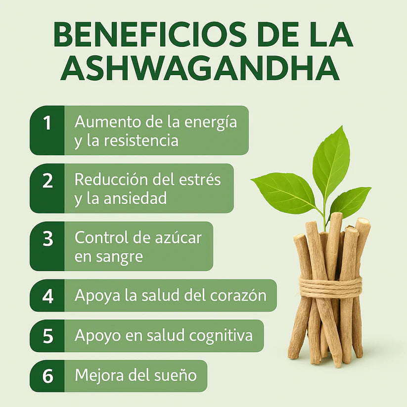 Ashwagandha + Magnesio 1000mg 60 CAPS